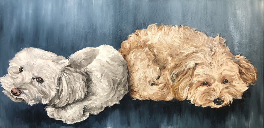 Two poodles