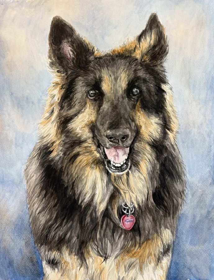 German shepherd
